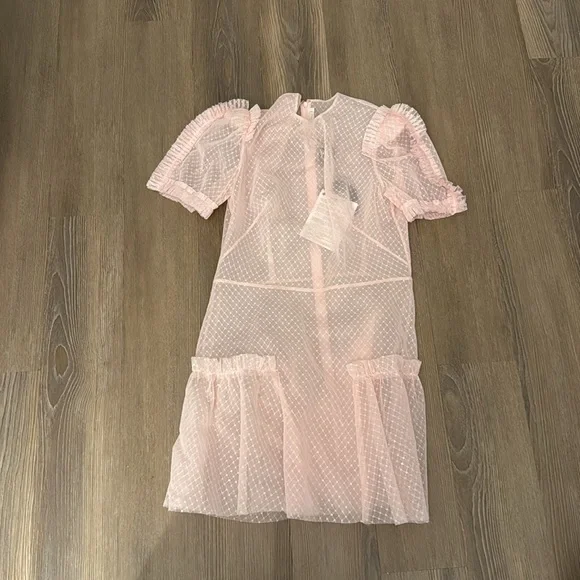 NWT The Vampire's Wife The Fairy Goddess Pink Embellished Tulle Mini Dress - Picture 6 of 10